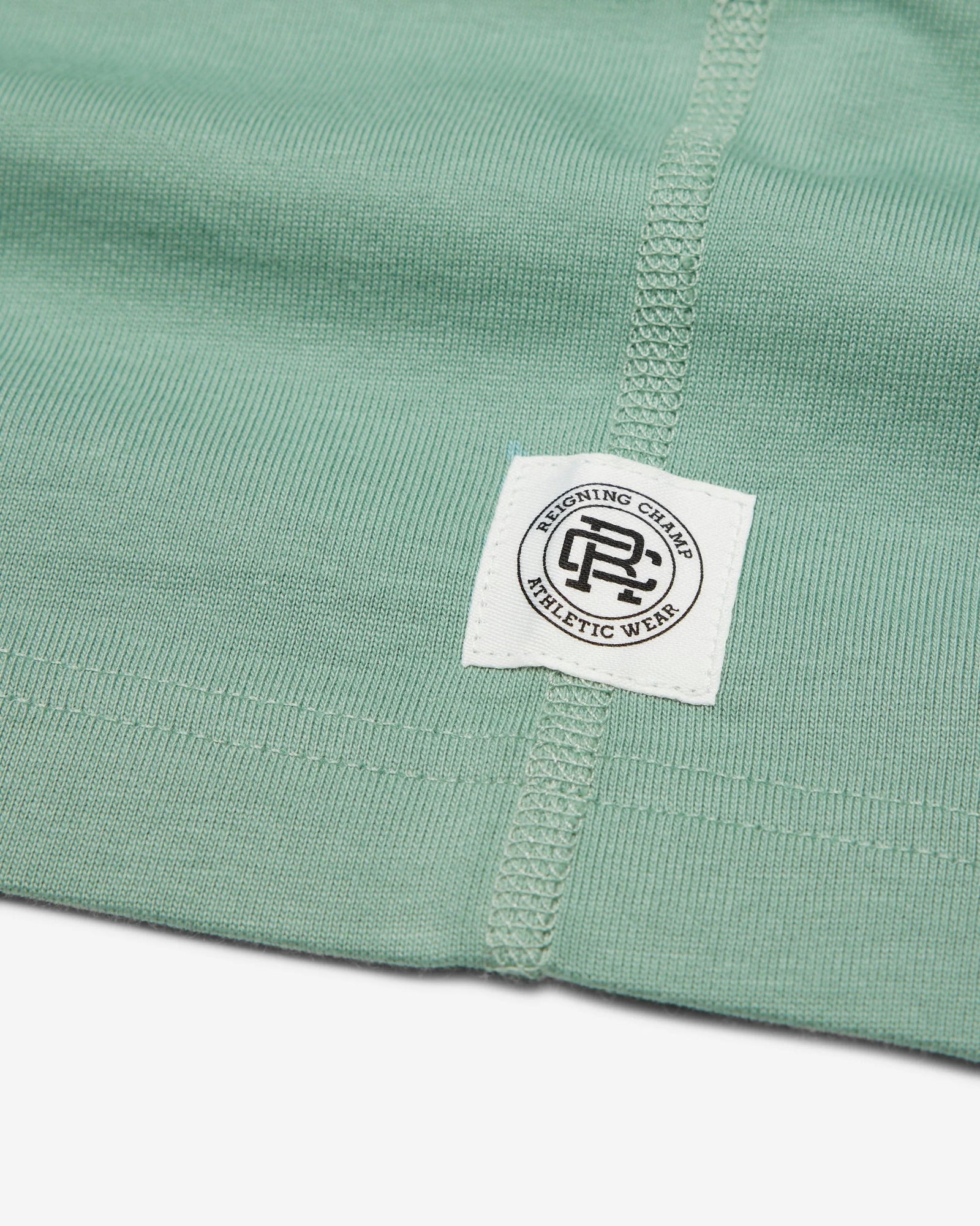 Reigning Champ Mid Weight Jersey T-Shirt in Sage